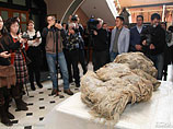 В Якутии охотники нашли останки шерстистого носорожика Саши, умершего около 10 тысяч лет назад