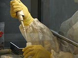 При лабораторном исследовании у него был подтвержден диагноз свиной грип При лабораторном исследовании у него был подтвержден диагноз свиной грип