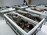 Около 120 мумий, возраст которых составляет около 7000 лет, хранятся в археологическом музее чилийского Университета Тарапаки. Внезапно ученые стали замечать, что мумии начали визуально изменяться с пугающей скоростью