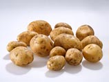 В Simplot подчеркивают, что в их картофеле содержится на 70% акриламида - химического вещества, которое выделяется во время варки картофеля при высоких температурах