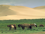 Автономный регион на севере Китая Внутренняя Монголия был основан в 1947 году, первым из всех автономных районов КНР
