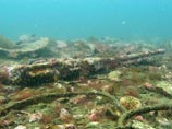 Владивостокские водолазы решили поднять с морского дна самолет, пропавший в годы ВОВ (ФОТО) Владивостокские водолазы решили поднять с морского дна самолет, пропавший в годы ВОВ (ФОТО)