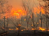 Площадь лесных пожаров в Сибири за сутки  увеличилась почти в полтора раза. Огонь перекинулся на Китай