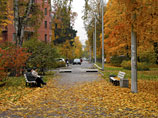 Осень в парке "Сосновка" в Санкт-Петербкрге, 10 октября 2013 года