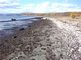 Иркутские ученые собираются исследовать причины массовой гибели уникальных пресноводных губок, которые очищают воду в озере Байкал