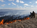 В Забайкальском крае, где бушуют крупные лесные пожары, сотрудники полиции задержали подозреваемого в поджоге лесных массивов
