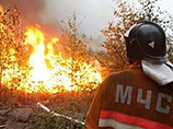 Возможно спровоцированный им лесной пожар охватил 1,3 гектара. Инцидент произошел около города Петровск-Забайкальский 20 апреля