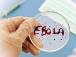Напомним, с марта 2014 года от лихорадки, вызванной вирусом Эбола, скончались более 10500 человек, всего зарегистрировано свыше 25500 случаев заболевания