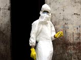 Обезьяны вылечились от вируса Эбола при помощи экспериментального лекарства