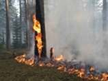 По фактам природных пожаров в Бурятии возбуждено 10 уголовных дел