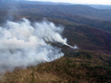 В Бурятии по фактам возникновения лесных пожаров возбуждено 10 уголовных дел