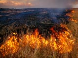 Священники по просьбе мордовских пожарных расскажут о том, что жечь сухую траву опасно
