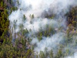 В Сибири площадь лесных пожаров за праздники увеличилась в 3,7 раза
