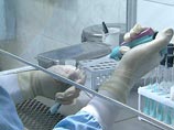 В желудке Александра Перепиличного, который скончался в ноябре 2012 года в Великобритании при странных обстоятельствах, нашли химикат, тесно связанный со смертельно опасным токсичным веществом растительного происхождения В желудке Александра Перепиличного, который скончался в ноябре 2012 года в Великобритании при странных обстоятельствах, нашли химикат, тесно связанный со смертельно опасным токсичным веществом растительного происхождения