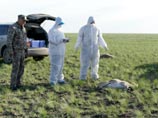 В космическом комитете Казахстана не усмотрели связи между запусками "Протонов" и массовой гибелью сайгаков В космическом комитете Казахстана не усмотрели связи между запусками "Протонов" и массовой гибелью сайгаков