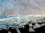 Ученые хотят свезти в Антарктику лед со всего мира