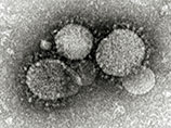 В Южной Корее скончались два человека от коронавируса MERS В Южной Корее скончались два человека от коронавируса MERS