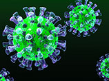 Число инфицированных вирусом MERS в Южной Корее увеличилось до 35 Число инфицированных вирусом MERS в Южной Корее увеличилось до 35