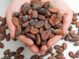 Главной причиной падения импорта является резкий рост мировых цен на какао-бобы. Их подорожание связано с неожиданно низким урожаем в Гане, являющейся вторым производителем какао-бобов в мире после Кот-д'Ивуара