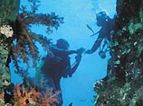 Американские подводники под руководством Боба Баларда, ставшего известным всему миру после обнаружения останков "Титаника", нашли на дне Черного моря следы древнего поселения
