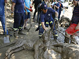 15 июня, в ходе очистительных работ на территории зоопарка были обнаружены несколько утонувших львов, волков и медведей