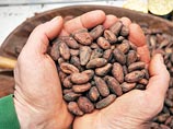 Российские кондитеры просят отменить пошлины на какао-продукты Российские кондитеры просят отменить пошлины на какао-продукты