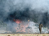 Глава Тувы Шолбан Кара-оол подписал распоряжение о введении режима чрезвычайно ситуации (ЧС) на территории региона из-за лесных пожаров