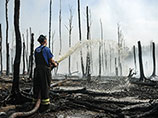 Режим ЧС введен в Туве из-за лесных пожаров