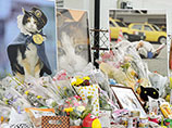 В Японии похоронили кошку, восемь лет "работавшую" смотрителем железнодорожной станции