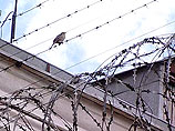 В Щекинском районе Тульской области завершилась спецоперация по освобождению заложников, которых захватил заключенный колонии строгого режима В Щекинском районе Тульской области завершилась спецоперация по освобождению заложников, которых захватил заключенный колонии строгого режима