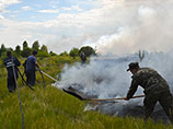 Как сообщает пресс-служба Государственной службы по чрезвычайным ситуациям Украины, "по состоянию на 7 часов 1 июля ситуация на территории комплекса лесного хозяйства "Чернобыльская пуща" является контролируемой, тушение очагов возгорания продолжается"