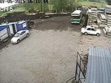 Томского губернатора просят защитить медведя, оторвавшего руку женщине в кафе Томского губернатора просят защитить медведя, оторвавшего руку женщине в кафе