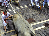 На фестивале Сан-Фермин в Памплоне бык отказался бодать людей (ВИДЕО)