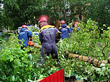 В Хабаровском крае устраняют последствия циклона, который вырывал деревья с корнем и лишил людей электричества