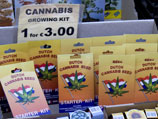 Парламенту Италии предложили легализовать употребление и выращивание марихуаны