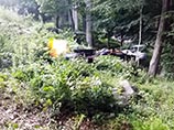 Американский подросток опубликовал ВИДЕО стреляющего дрона, которым заинтересовались авиационные власти Американский подросток опубликовал ВИДЕО стреляющего дрона, которым заинтересовались авиационные власти