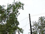 В Томске гроза повредила ЛЭП и автомобили и повалила деревья