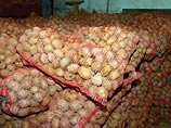 Бабынинский район Калужской области решил пиариться на картошке, сделав ее "визитной карточкой" региона: там откроют памятник картошке, а в конце июля организуют картофельный праздник