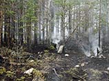Самая большая площадь возгорания находится в Бурятии - 17 542 гектара. На втором и третьем местах - Республика Тыва и Иркутская область. После идут Забайкальский край и Красноярский край Самая большая площадь возгорания находится в Бурятии - 17 542 гектара. На втором и третьем местах - Республика Тыва и Иркутская область. После идут Забайкальский край и Красноярский край