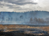 Половина жителей Забайкальского края, где из-за лесных пожаров введен режим ЧС, считает, что главной причиной распространения огня являются специальные поджоги