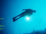 Подводная часть поисков многократной рекордсменки и чемпионки мира по фридайвингу Натальи Молчановой, которая пропала вблизи острова Форментера (Испания), прекращена