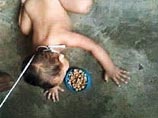На Урале женщина держала 4-летнего сына на поводке, чтобы он не сбежал из дома На Урале женщина держала 4-летнего сына на поводке, чтобы он не сбежал из дома