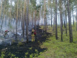 За прошедшие сутки площадь лесных пожаров в Сибирском федеральном округе увеличилась более, чем в три раза