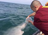 Ламы Бурятии попросят у духов воды дождя для охваченных пожарами районов Ламы Бурятии попросят у духов воды дождя для охваченных пожарами районов