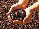 Кофе резко дорожает из-за сокращения запасов в Бразилии до "угрожающе низкого уровня"