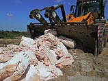 Россельхознадзор уничтожает по 150 тонн санкционных продуктов в день