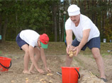 Лукашенко с сыном и помощниками собрали 70 мешков картошки за полтора часа