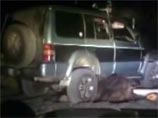 Минсельхоз Сахалина попросил полицию из-за видео в Сети наказать "садистов", издевавшихся над медведем