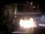 Задержаны трое антигероев видео с измывательствами над медведем на Курилах Задержаны трое антигероев видео с измывательствами над медведем на Курилах