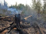 23 августа, несмотря на запрет посещения леса, действия местного населения стали основной причиной новых пожаров - их зафиксировано 12, почти все в районах у Байкала